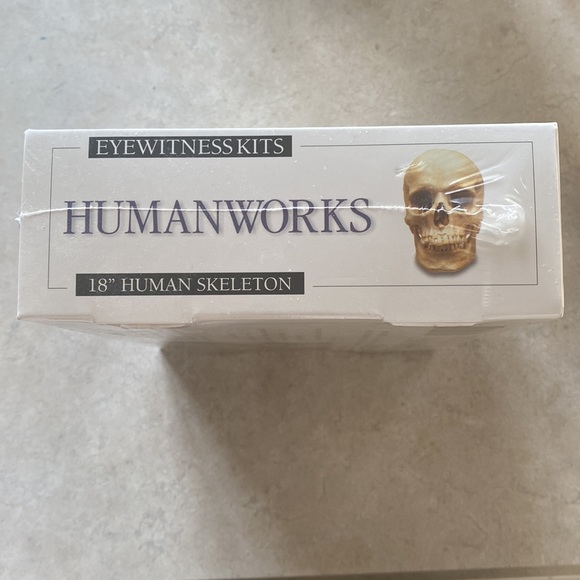 New Discovery Toys Humanworks 18” Human Skeleton New in Box Great teaching tool - Picture 6 of 7